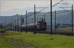 Re 6/6 11686 'Hochdorf' mit dem Hlcimzug im Dnnerenfeld.