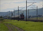 Re 6/6 11686 'Hochdorf' mit dem Hlcimzug im Dnnerenfeld.