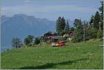 Ein kleiner Zug auf grosser Fahrt: Der RhB Bernina Bahn ABe 4/4 I N 35 der Blonay Chamby Bahn ist mit dem Bernina Bahn As2 und dem MOB B4 N 61 (beide auch Blonay-Chamby) als  Valrose