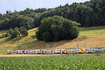 Sommerbild: Der BLS MUTZ 515 008 mit Werbung fr Postfinance, Kehrsatz Nord.