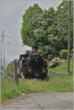 Bei Chaulin kmpft sich die BFD HG 3/4 N 3 der Blonay - Chamby Bahn durch die Vegetation.