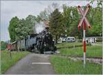 Bei Kilometer 8.2 ist die BFD  HG 3/4 N der Blonay Chamby Bahn mit ihrem Dampfzug auf dem Weg nach Chaulin (via Chamby).