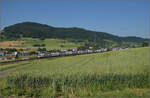 RABe 512 036 und RABe 512 033 bei Frick, Juni 2025.