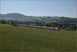 RABe 512 036 und RABe 512 033 bei Frick, Juni 2025.