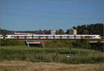 RABe 523 064 und RABe 523 001 bei Salina Raurica.