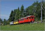 Ein kleiner Zug auf grosser Fahrt: Der RhB Bernina Bahn ABe 4/4 I N 35 der Blonay Chamby Bahn ist mit dem Bernina Bahn As2 und dem MOB B4 N 61 (beide auch Blonay-Chamby) als  Valrose