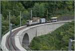 Les chemins de fer disparus - Die verschwundenen Bahnen (LLB 1915 - 1967); wie befrchtet verdeckt die nachwachsende Vegetation recht rasch den Blick auf das neu sanierte Baye de Clarens Viadukt.