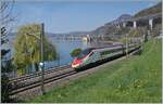 Der SBB ETR 610 009 ist als EC 45 von Genve nach Milano unterwegs und konnte kurz vor Villeneuve in der Frhlingsgrnen Landschaft am Genfer See fotografiert werden.