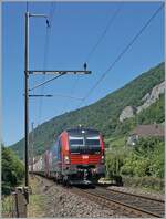 Kurz nach dem bergang von Doppel- auf Einspur bei Ligerz konnte ich die 193 051 mit einer weiteren SBB Cargo 193 fotografieren.