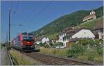 Zwei Vectrom (und eine  kalte  Re 4/4 II) sind bei Ligerz mit einem Gterzug auf der Fahrt in Richtung Biel/Bienne.