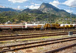 Der Kran IX der Vanomag AG ein 130t GOTTWALD GS 130.10 TS Eisenbahnkran (VTmass 80 85 95 81 702-0 /DB 97 82 54 502 19-5) mit Schutzwagen (80 85 9706 408-4 RID) und Gegengewichtswagen (VTmass 80 85