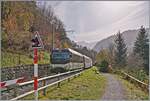Kurz nach Gstaad erklimmt die MOB Ge 4/4 8002 mit ihrem GoldenPass Express auf der Fahrt von Montreux nach Interlaken die Steigung in Richtung Schnried und wird unmittelbar nach dieser Aufnahme