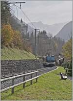 Kurz nach Gstaad erklimmt die MOB Ge 4/4 800 mit ihrem GoldenPass Express auf der Fahrt von  Montreux nach Interlaken die Steigung in Richtung Schnried.