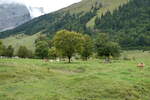 (280'479) - Ahorne und Khe am 17.