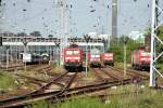 Am Bw stand eine unerkannte 109 der Skandlines, 114 015-1, neben dem Steuerwagen ebenfalls eine 143 und dann rechts 143 271-5 (Berlin Nldnerplatz, 10.05.2009 - Update zu 143 271: Anlieferung zu Fa. Bender 07.2009, zerlegt 09.2009).