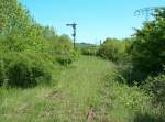 Zugewachsenes Gleis der ehemaligen KBS 587 von Vitzenburg nach Querfurt, kurz hinter dem Bf Vitzenburg. Im Hintergrund ist das Einfahrtssignal aus Richtung Querfurt zu sehen; 10.05.2008