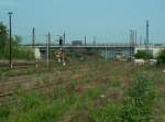 Zugewachsene Rangiergleise am westlichen Gleisvorfeld in Naumburg (Saale) Hbf. Im Hintergrund erkennt man das berfhrungsbauwerk der B180; 01.05.2009