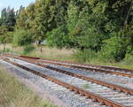 Der zugewachsene Prellbock vom ehem. Stumpfgleis 28 neben dem alten lkeller, am 13.09.2025 im Bahnhof Laucha (U).