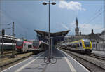 1462 003 muss einen havarierten Schwarzwaldbahnzug aushelfen. Im Bahnhof Konstanz trifft der Desiro auf den ehemaligen RM-GTW RABe 526 282, den Seehas RABe 521 207 und als weiterer berraschungsgast den Flirt evo RABe 531 002. Eine echte Fahrzeugpara ...