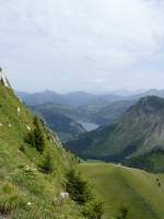 Rochers-de-Naye Bergwelt