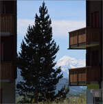 Das Weisshorn mit 4505 m als einer der wahren Giganten der Alpen ist im Goms sehr präsent. Oberwald, Juli 2024.