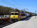 RRF (Rotterdam Rail Feeding) Lokomotive 4402 (91 84 1001 609-4 NL-RRF) mit Aufschrift:  1981-2021 40 jaar trouwe dienst!  Ex-NS 1609. Gleis 1 Amersfoort Centraal 08-04-2025.

RRF (Rotterdam Rail Feeding) locomotief 4402 (91 84 1001 609-4 NL-RRF) met opschrift:  1981-2021 40 jaar trouwe dienst!  Ex-NS 1609. Spoor 1 Amersfoort Centraal 08-04-2025.