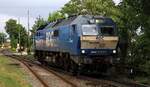 RAG/RDC 251 003-0 beim umsetzen im Bhf Niebüll. 15.07.2025