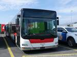 (274'310) - VBZ Zrich - Nr. 795 - MAN (ex St. Gallerbus, St. Gallen Nr. 286) am 27. April 2025 in Kerzers, Interbus