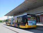 (276'865) - Eurobus, Arbon - Nr. 13/TG 52'208/PID 11'987 - MAN am 17. Juni 2025 in Arbon, Bushof