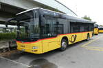 (278'077) - CarPostal Ouest - VD 606'116/PID 10'261 - MAN (ex JU 51'279; ex Nr. 13) am 27. Juli 2025 in Kerzers, Interbus