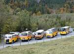 (268'053) - Schmid, Thrishaus - Nr. 3/BE 26'760 - Saurer/Gangloff (ex Geiger, Adelboden Nr. 3) + Nr. 9/BE 26'105 - Saurer/R&J (ex Geiger, Adelboden Nr. 9) + aus Deutschland: Hahn, Mnchen - Nr. 6/M-MB 309H - Mercedes (ex Mller, CH-Ennetmoos Nr. 6; ex Portenier, CH-Adelboden Nr. 6/PID 492; ex Geiger, CH-Adelboden Nr. 6) + Gast, Reutigen - Nr. 1/BE 24'079 - FBW/FHS (ex Lambach, Gommiswald; ex Hotz, Rickenbach bei Wil/TG; ex P 24'079; ex P 21'579) + Schmid, Thrishaus - BE 26'206 - Saurer/Tscher (ex P 24'244) am 12. Oktober 2024 in Kiental, Tschingelsee