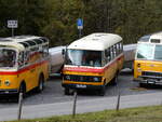 (268'050) - Aus Deutschland: Hahn, Mnchen - Nr. 6/M-MB 309H - Mercedes (ex Mller, CH-Ennetmoos Nr. 6; ex Portenier, CH-Adelboden Nr. 6/PID 492; ex Geiger, CH-Adelboden Nr. 6) am 12. Oktober 2024 in Kiental, Tschingelsee