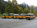 (268'165) - Aus Deutschland: Hahn, Mnchen - Nr. 6/M-MB 309H - Mercedes (ex Mller, CH-Ennetmoos Nr. 6; ex Portenier, CH-Adelboden Nr. 6/PID 492; ex Geiger, CH-Adelboden Nr. 6) am 12. Oktober 2024 in Kiental, Tschingel