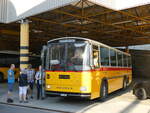 (276'985) - Gaudenz, Andeer - GR 1866 - Saurer/R&J (ex Mark, Andeer PID 2824; ex PostAuto Graubnden; ex P 24'350) am 19. Juni 2025 in Thusis, Postautostation
