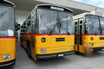 (279'664) - Schmid, Thrishaus - BE 20'206 - Saurer/Tscher (ex P 24'244) am 30. August 2025 in Oberkirch, CAMPUS Sursee
