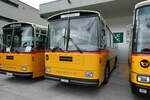 (279'665) - Schmid, Thrishaus - BE 26'206 - Saurer/Tscher (ex P 24'244) am 30. August 2025 in Oberkirch, CAMPUS Sursee