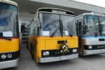 (279'757) - Schmid, Buchs - ZH 33'165 U - Saurer/Tscher (ex Solr+Fontana Nr. 2; ex Solr+Fontana Nr. 8) am 30. August 2025 in Oberkirch, CAMPUS Sursee