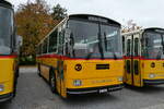 (281'412) - Gaudenz, Andeer - GR 1866 - Saurer/R&J (ex Mark, Andeer PID 2824; ex PostAuto Graubnden; ex P 24'350) am 12. Oktober 2025 in Hitzkirch, Interkantonale Polizeischule