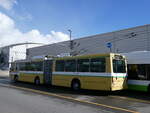 (272'832) - transN, La Chaux-de-Fonds - Nr. 117 - NAW/Hess Gelenktrolleybus (ex TN Neuchtel Nr. 117) am 13. Mrz 2025 in Marin, Dpt