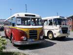 IFA H6B von De Stralsunner aus Deutschland und Ikarus 630 der VVR in Stralsund.