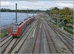 Der DB 425 809-1 erreicht sein Ziel Lindau Insel.

17. Sept. 2024