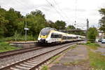Zwei dreiteilige 8442 der SWEG durchfahren am 23.82025 Neckargerach gen Heidelberg. 