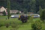 563 016 auf dem Weg von Biberach nach Zell am Harmersbach. August 2025.