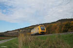 711 101-6 fährt aus eigener Kraft bei Thüngersheim. 21.10.24
