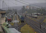 Blick im Regen auf den Bahnhof der Gterumgehungsstrecke Freiburg. Ein Sammelsurium von Fahrzeugen ist hier abgestellt. Kaum zu sehen eine BLS Re 485, 193 477 von SBBCI, vermutlich 202 423 von Rhenus, BLS Re 486 505, eine SBBCI 193 von Von Roll-Leasing, eine weitere Re 486, und drei offenbar reparaturbedrftige Triebzge von DB Regio, der Baureihen 1440 und 1462. Juli 2024.