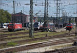 Bahnhof Singen mit 4 Schnellzügen im Bild. August 2024.