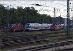 4010 006 in Singen. August 2024.