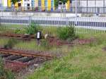 Auch hier gibt es die Gleise ins Grne... (Bad Herfeld, 17.01.2005)