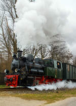 Die Jung Schmalspur Dampflok 20  Haspe  der Selfkantbahn bzw. Interessengemeinschaft Historischer Schienenverkehr e. V. (IHS) zieht ihren Personenzug am 31 März 2013 bei Birgden in Richtung Gillrath. 

Fahrzeuggeschichte:
Die Dampf-Tenderlokomotive wurde 1956 von der Arnold Jung Lokomotivfabrik GmbH, Jungenthal bei Kirchen an der Sieg unter der Fabriknummer 12783 und an die 900 mm-Werksbahn der Klöckner-Hütte in Hagen-Haspe. Im Zuge der Stillegung der Hasper Hütte kaufte die IHS 1972 auch die 20 und 21 und lies diese in der Werkstatt der DVG (Duisburger Verkehrsgesellschaft AG) auf 1.000 mm umspuren. 1980 Taufe auf den Namen „Haspe“.

Neben den schmalspurigen Kleinbahnen gab es eine große Anzahl schmalspuriger Werks- und Industriebahnen. Für diese Betriebe entwickelten einige Lokomotivfabriken nach dem Baukastensystem Typenreihen für Lokomotiven verschiedener Spurweiten und Leistungsklassen. Die Lokomotivfabrik Jung in Jungenthal/Sieg besaß ein solches Programm schon in den Zwanzigerjahren. Diese Maschinen der  Standardkollektion  vom Typ 200 PS konnten nach Katalog bestellt werden. Während des 2. Weltkrieges durften nur noch Lokomotiven eines Standardprogramms, die Kriegsdampflokomotiven (KDL), von Lokomotivfabriken im deutschen Machtbereich hergestellt werden.

Aus dem Typ KDL 10 dieses Programms abgeleitet, lieferte Jung 1956 drei Maschinen an die 900 mm-Werksbahn der Klöckner-Hütte in Hagen-Haspe. Die robuste Bauart der Dampflokomotiven 19, 20 und 21 bewährte sich auch im harten Betriebseinsatz bei der Hasper Hütte. Im Frühjahr 1970 entschloss sich die IHS, die gerade abgestellte Lok 19 zu erwerben. Nach dem Umbau auf eine Spurweite von 1.000 mm wurde die Lok ab dem 10. Juli 1971 auf der Selfkantbahn eingesetzt.

Im Zuge der Stillegung der Hasper Hütte 1972 kaufte die IHS auch noch die beiden freiwerdenden Schwestermaschinen 20 und 21. Ihre Namen erhielten die Lokomotiven erst bei der Selfkantbahn, 1980 wurde die Lok 20 auf den Namen  Haspe , 1986 die Lok 21 auf den Namen  Hagen  getauft. Die politische Wende in der DDR im Jahre 1989 machte es dann möglich, daß die Lok 20 im Jahre 1991 als eine der ersten Museumsdampflokomotiven in der Werkstätte des ehemaligen VEB Mansfeld-Kombinats Wilhelm Pieck des Mansfelder Bergbaureviers eine große Revision erhielt. Die Lok 19 ist seit 1977 abgestellt, die Lok 21 befindet sich seit langer Zeit in Aufarbeitung.

Konstruktive Merkmale:
Die Lokomotiven haben einen Wassertank im Rahmen und Kohlenkästen vor dem Führerhaus. Sie haben Heusinger-Steuerung und Kolbenschieber. Der Antrieb erfolgt auf die zweite Achse. Die Druckluftbremse und die Beleuchtungsanlage wurden erst für die Selfkantbahn eingebaut. Ursprünglich war ein Pufferbügel und ein darüber angeordneter Kupplungshaken vorhanden, bei der Selfkantbahn erhielten die Lokomotiven eine Balancierhebel-Kupplung „Sylter Bauart“, diese
wurden ab 1976 „Standard-Kupplung“ der Selfkantbahn.

TECHNISCHE DATEN:
Baujahr: 1956
Hersteller: Arnold Jung Lokomotivfabrik GmbH, Jungenthal bei Kirchen a. d. Sieg
Fabriknummer: 12783
Kessel-Nr. seit Dez. 12784 von Lok 21 (zuvor 12783)
Spurweite: 1.000 mm (ehemals 900 mm)
Achsanordnung: Bn2t
Typ: 200 PS, abgeleitet von KDL 10
Länge über Puffer: 7.200 mm
Breite 2.300 mm
Höhe: 3.200 mm
Achsabstand: 1.800 mm
Raddurchmesser: 800 mm (neu)
Gewicht der Lok: 22,0 t
Höchstgeschwindigkeit: 30 km/h
Zugkraft: 58 kN
Leistung: 200 PS
Zylinderanzahl: 2 (Ø 350 mm x 400 mm Hub)
Rostfläche: 1,00 m²
Heizfläche: 52,5 m², 126 Heizrohre 44,5 x 2,5
Kesseldruck: 13 bar
Kohlevorrat: 0,3 t
Wasservorrat (im Rahmen): 1,6 m³
Bremse: K-PmZ (urspr. Dampf) / Wurfhebel, Bremsgewicht 7 t
Kupplung: Sylter Puffe