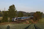 223 081 aus Hof kommend am 14. Mai 2025 bei Naabdemenreuth.